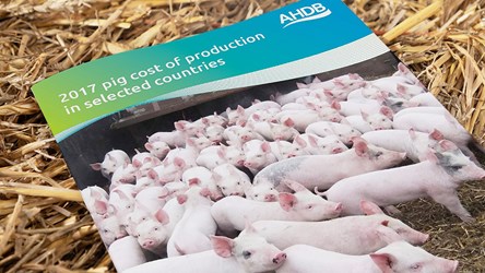 AHDB. 2017 pig cost of production.